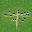 (7,6) (2800l) 
