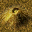 (4,5) R 